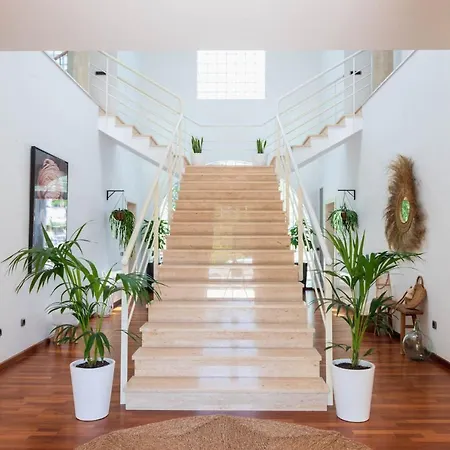 Luxury Private Holiday With Volley Ball Court, Ibiza 1007 Villa Santa Eularia des Riu