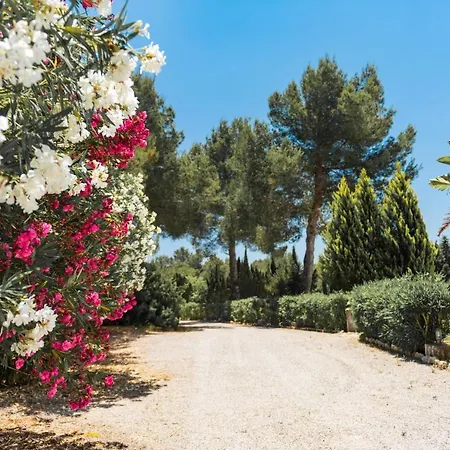 Luxury Private Holiday With Volley Ball Court, Ibiza 1007